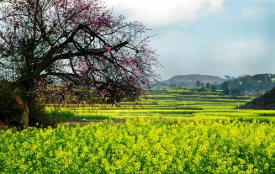 ​破浪前行的说说,形容破浪前行的励志句子