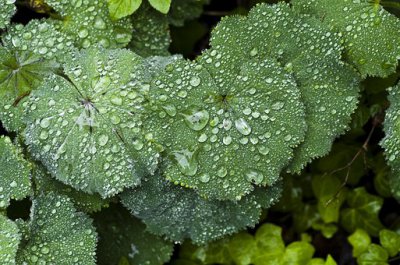 ​雨天发朋友圈的句子 下雨天吸引人的朋友圈文案
