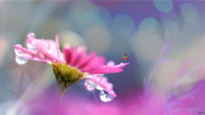 ​人生感悟的优美句子 ，透彻明理，寓意深远