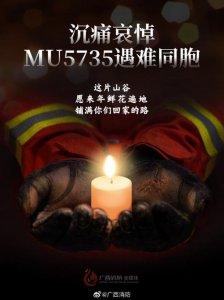 ​哀悼东航mu5735遇难者的句子 愿逝者安息一路走好