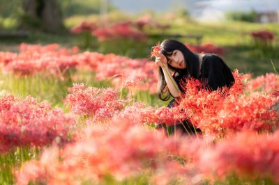 ​关于动物的歇后语100条 八字写了一撇歇后语