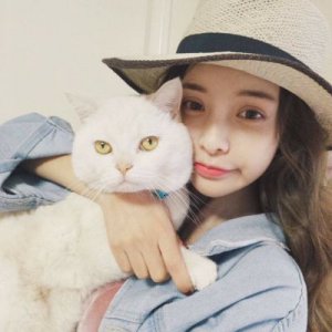 ​清晨早安的句子