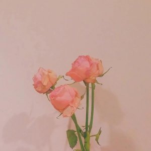​关于读书的句子文案（关于读书的绝美文案｜腹有诗书气自华，读书万卷始通神）