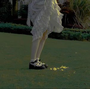 ​释怀的句子坦然面对感情（文案丨表达释怀的文案）
