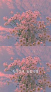 ​关于浪漫的句子大全（30条浪漫到极致的句子：白茶清欢无别事，我在等风也等你