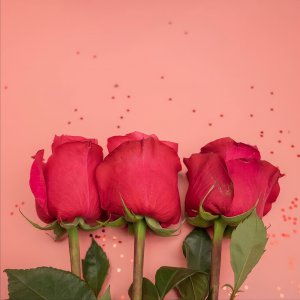 ​签名的句子温柔积极（读温柔的句子，做一个积极向上的人）