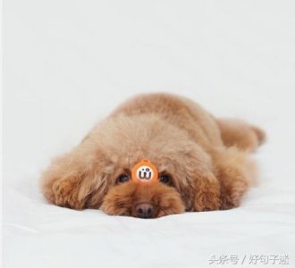 ​酷酷的句子霸气干净（20条很酷的短句，超酷超霸气，火爆整个朋友圈！）