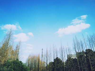 ​形容天气好的句子短句（今天天气很好，可是不会表达？我教你30句文案短句）