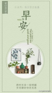 ​简短唯美的晨语文案