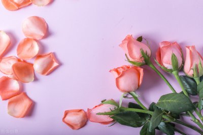 ​关于温暖走心的朋友圈句子，值得写在日记本上