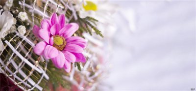 ​挫折句子摘抄大全（历经挫折的经典感悟，句句精辟入里，受益匪浅）