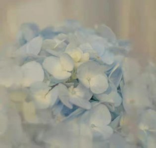 ​一些惊艳了时光的唯美短句句子