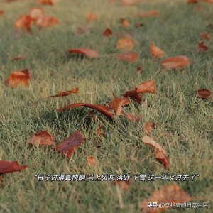 ​十二月你好的句子朋友圈（15句关于你好12月的高质量朋友圈文案）