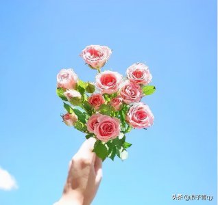 ​暖心的句子唯美简短（读后让人暖心的优美句子，简单干净，直抵心灵）