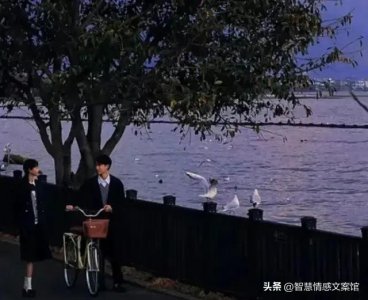 ​35句扎心情感语录短句
