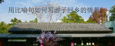 ​游子回到家乡写一段话幽默风趣（如何用一句话描写游子回到家乡的情景？灵