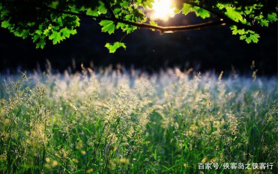 ​好朋友句子唯美简短的（没有友谊的人生是孤独的，这些友情短句值得一读）