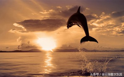 ​终于拨开云雾见天日句子（10句正能量，拨开云雾见青天：不说人短，不思人过，