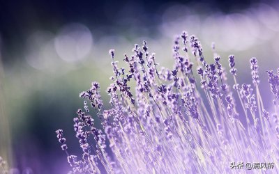 ​关于致敬五四青年的唯美句子