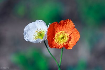 ​初夏文案精选，描写五月浅夏季节的唯美短句子