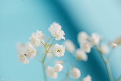 ​令人惊鸿一瞥的唯美句子，积极向上