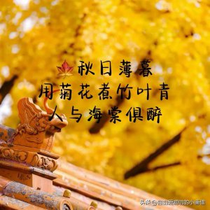 ​一些形容秋天的唯美句子