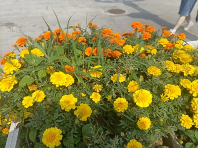 ​小说里爱情的经典语录
