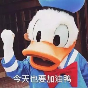 ​保险的句子经典语录（保险文案，可以这样写）