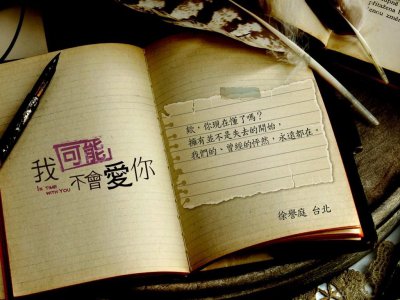 ​我可能不会爱你经典语录（41句我爱你的句子）