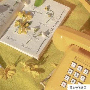 ​相思无解的经典句子(满满相思情句句入骨)