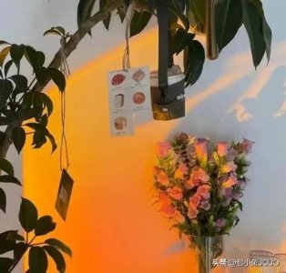 ​风和树叶的文案短句（十月｜秋游 露营 文案｜人间十月有幸事，落叶与风再