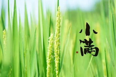 ​小满文案优美短句（小满节气祝福语，唯美句子文案精选)
