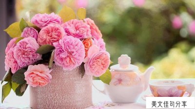 ​如何给老师写感谢的话(高情商表扬老师的话188句简短)