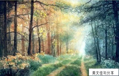 ​写景的优美开头（万能景物描写开头段落）