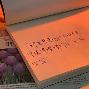 ​描写时间飞逝的优美句子（描写时光荏苒的古今句）