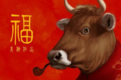 ​网络公司取名禁忌 企业好名字推荐和解析