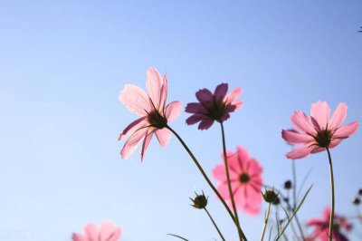 ​关于描写九月份的句子（14句九月环境的句子）