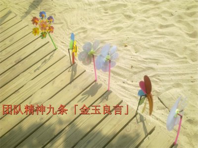 ​团队精神正能量的句子经典（团队精神，团队精神正能量的句子经典）