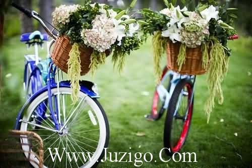 描写回忆的经典句子摘抄大全精选(精选50句)