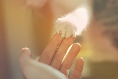 ​销售大师经典语录100句
