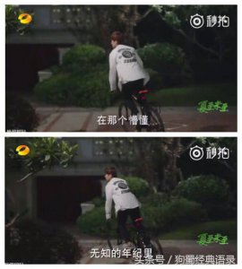 ​夏至未至经典语录台词 分享