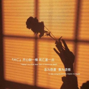 ​唯美句子‖快乐有很多种，而你是第一种