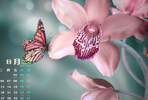 1689340905139431.png image.png