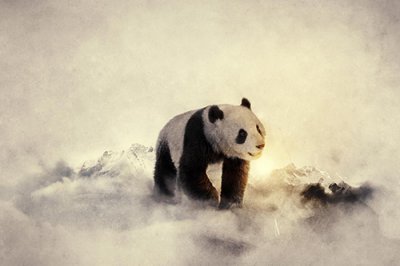 ​qq经典伤感语录88句