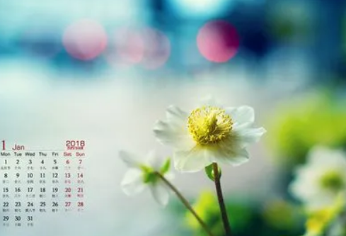 1683108198492498.png image.png