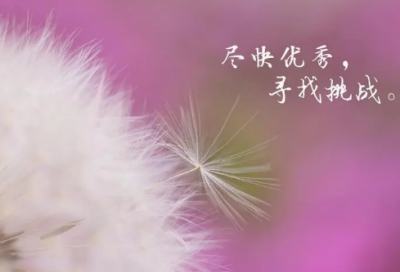 ​魔兽公会名字385个