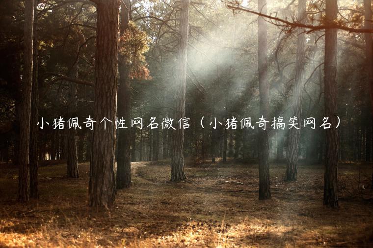 小猪佩奇个性网名微信(小猪佩奇搞笑网名)