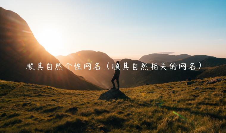 顺其自然个性网名(顺其自然相关的网名)