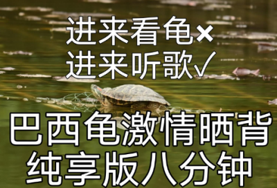 ​王者荣耀cp情侣名字 王者荣耀cp名字大全