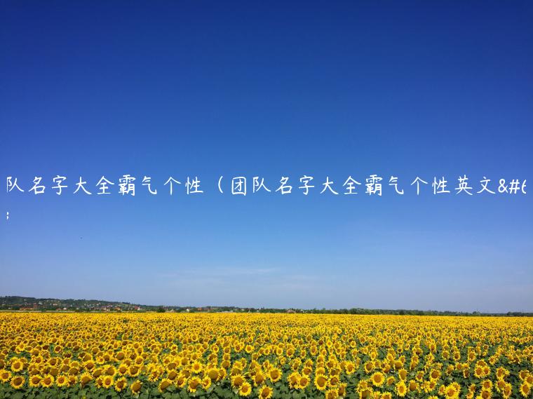 团队名字大全霸气个性（团队名字大全霸气个性英文）